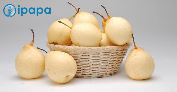 artikel_23_-_Ayo_hidup_sehat._Buah_pir_dan_segala_kebaikannya_